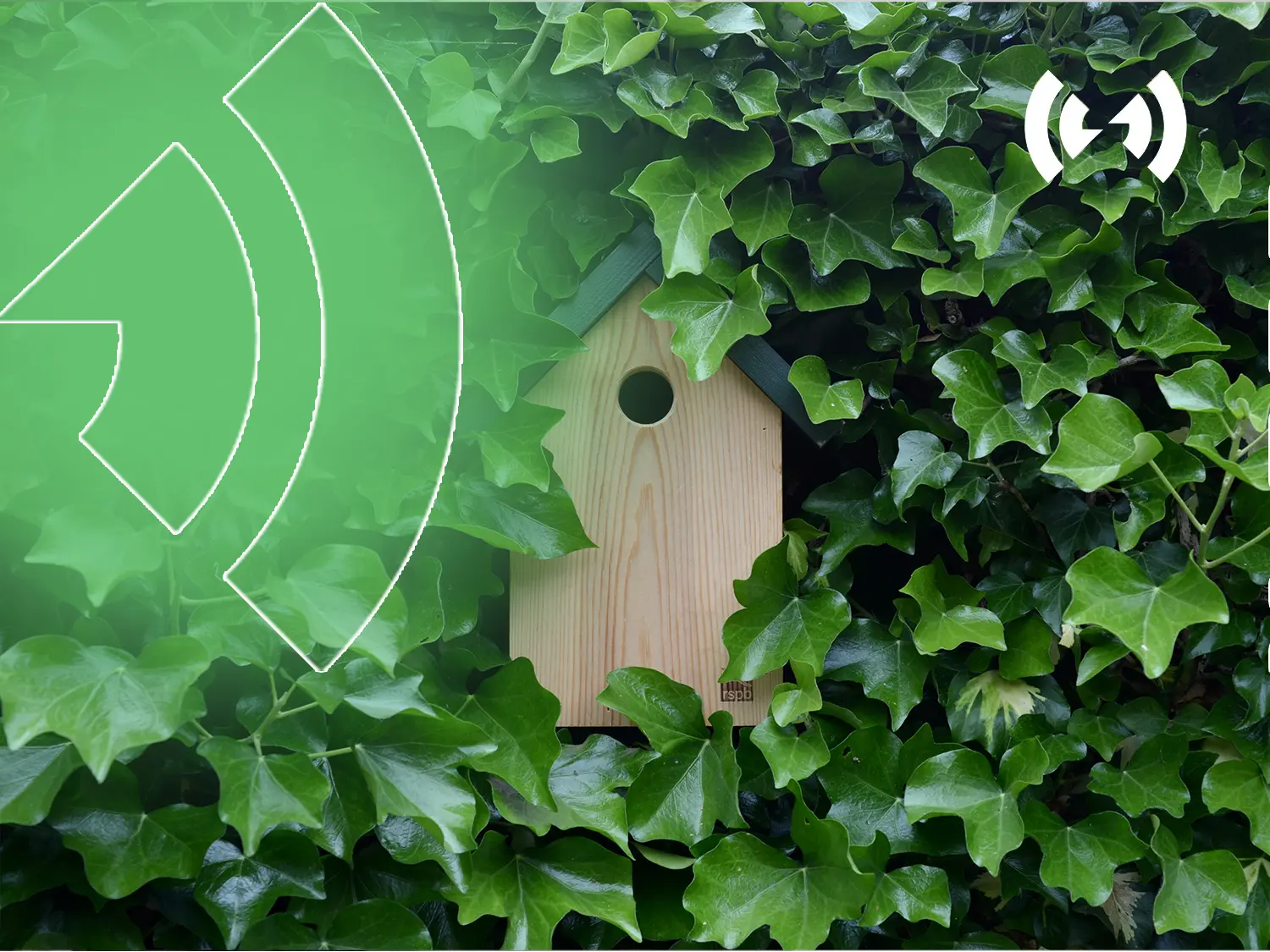 Bukan itu Artinya ‘Hidden Gem’!